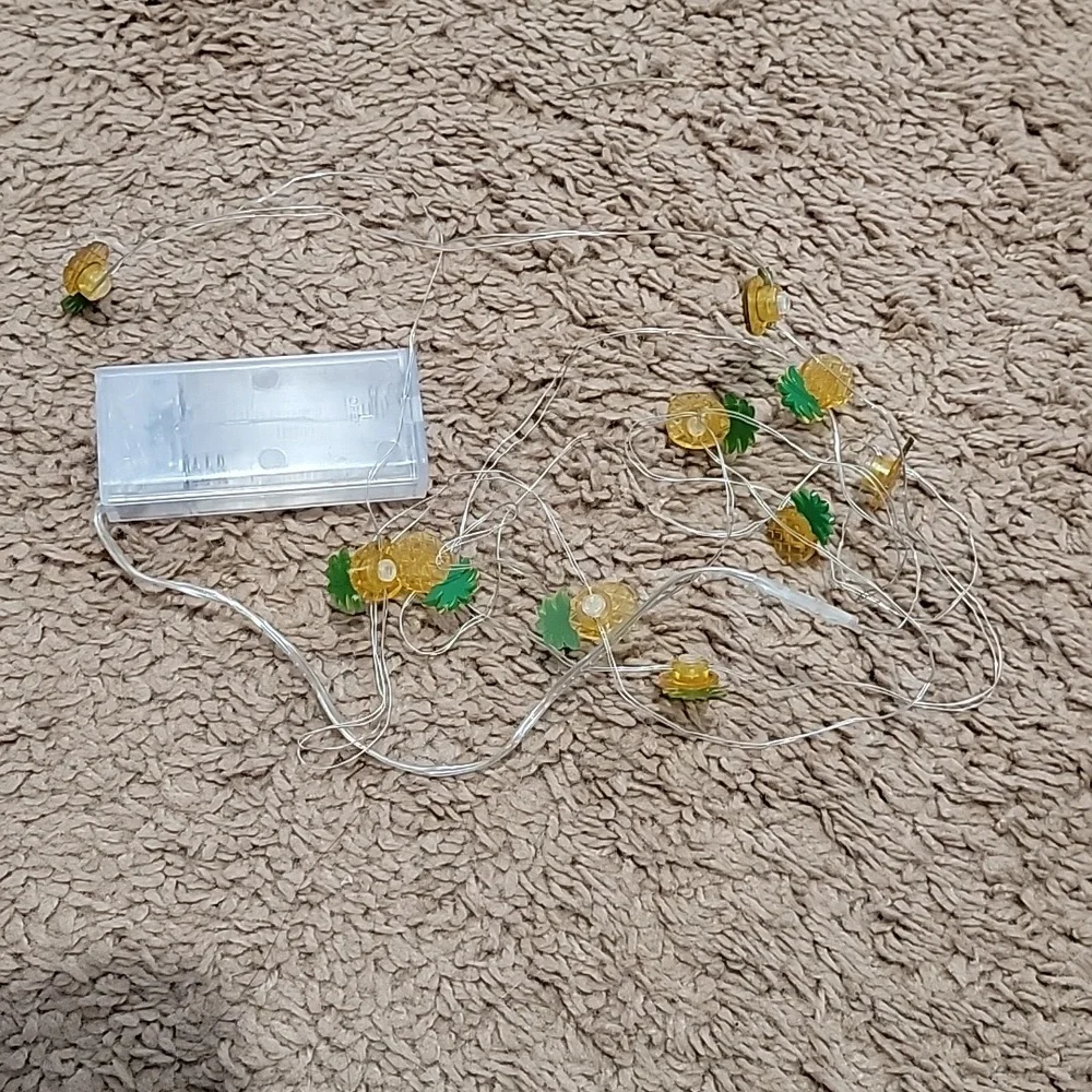 String lights🏷 - Picture 1 of 3